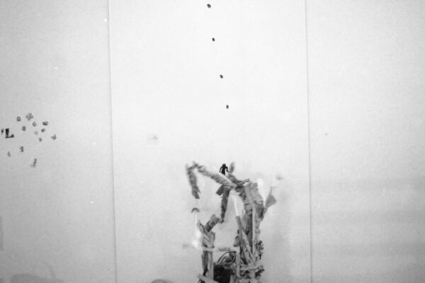 30